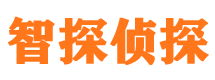 满城侦探调查公司